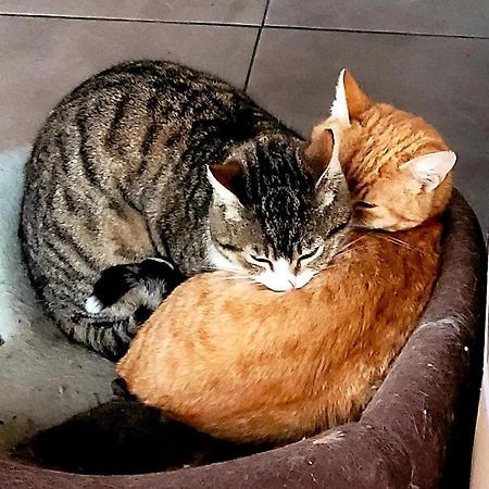 ホテル Casa Alba ナボダリ エクステリア 写真