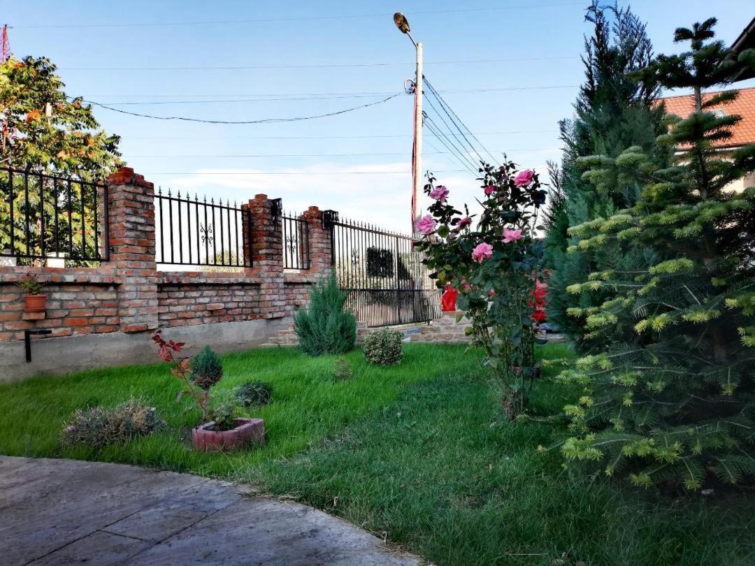 ホテル Casa Alba ナボダリ エクステリア 写真