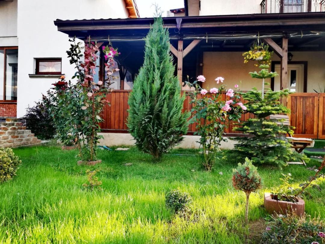 ホテル Casa Alba ナボダリ エクステリア 写真